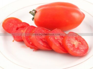 tomate-rio-grande-bio