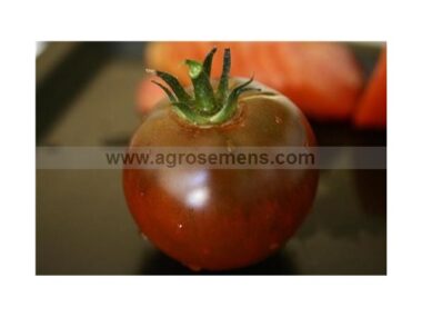 tomate-noire-russe-charbonne-bio
